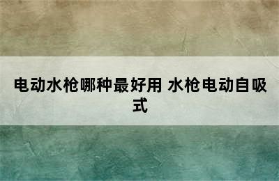 电动水枪哪种最好用 水枪电动自吸式